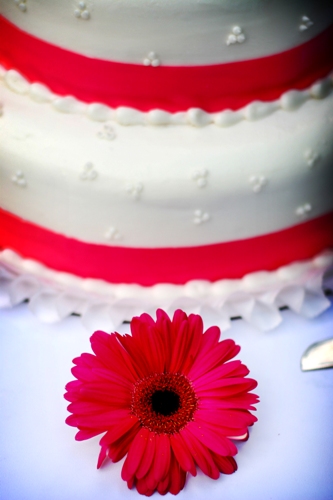 Cake Design and Baking