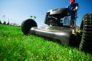 Lawn Fertilization