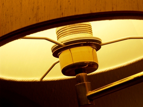 Exclusive Lamp & Lampshade Store/Includes Real Property For Sale