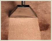 Carpet Care with Propriatary Technology & Seller Financing For Sale