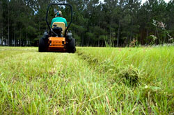 Lawn and Landscaping Business in Lubbock Texas For Sale