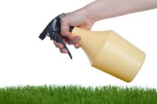Very Easy to Run & Profitable Lawn and Pest Control Business For Sale