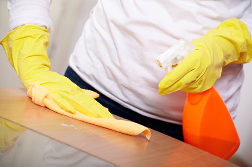Residential Cleaning Service For Sale