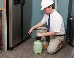 Fast Growing Pest Control For Sale