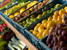 Well Est. Seasonal Fruit and Vegetable Market 