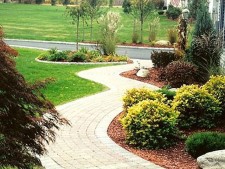 Premier Commercial/Residential Landscape Company