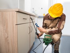 Reduced Price! Pest Control Service For Sale - Only Need 25% Down!