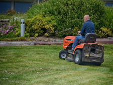 Lawn  Maintenance/Landscaping /Tree Trimming 