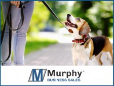 Successful Dog Walking Services Business