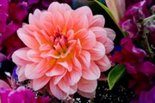 Price Reduced! Retail Florist in Southern Missouri