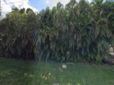 Lawn Services and Landscaping Services