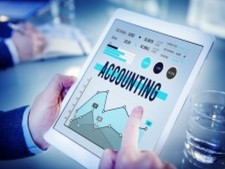 Well Established Accounting & Consulting Company