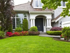 Landscape Design Company