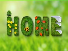 SE MN Lawn and Snow Business for Sale