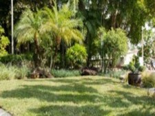Lawn Landscaping - Lender Pre-Qualified
