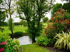 Landscape Maintenance Business