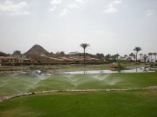 Commercial Landscaping Company