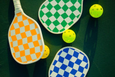 High-Growth Indoor Pickleball Club Opportunity
