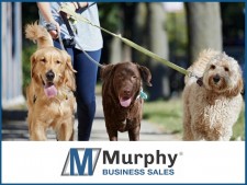 Low Overhead Dog Walking and Pet Sitting Services