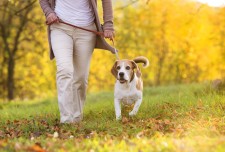 Terrific Opportunity for People, Pet and Senior Lovers