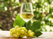 Established Winery and Vineyard for Sale