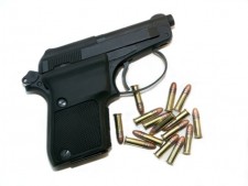 Gun Range & Retail - Includes Real Estate