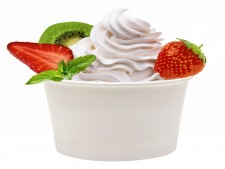 Successful Frozen Yogurt Business for Sale