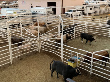 Successful Ag Manufacturing Business for Sale