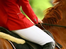 Wholesale/Direct Seller of Women's Equestrian Apparel