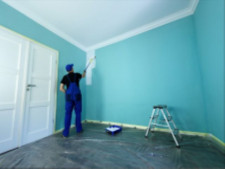 Highly Profitable Residential and Commercial Painting Business 
