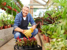 Plant Nursery Asset Sale