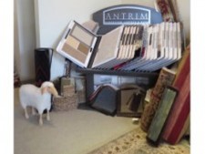 Retail Carpet and Flooring Store