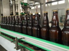 Industrial Bottle Washing Company for Sale