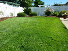 Lawn & Gardening 