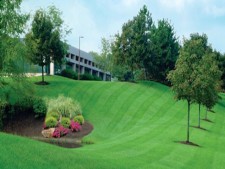 Highly Profitable Triad Commercial Landscaping Business 