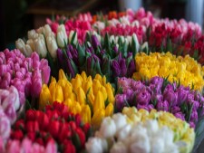 Flower & Gift Shop with Real Estate