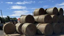 Profitable 60 Year Feed & Growers Supply Business