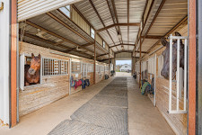 Profitable Professional Structured Riding School