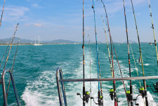 Fishing Equipment Distributor